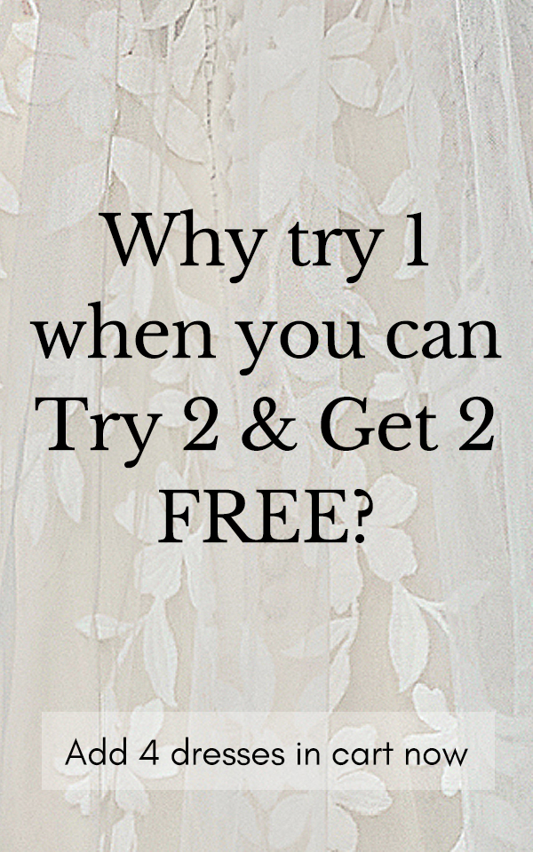 Try 2 Dresses, Get 2 FREE! 