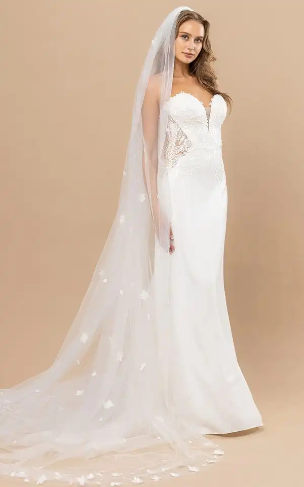 JANIS VEIL
