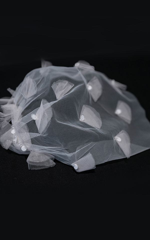 DALE VEIL