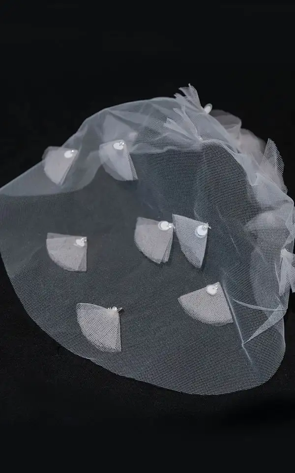 DALE VEIL